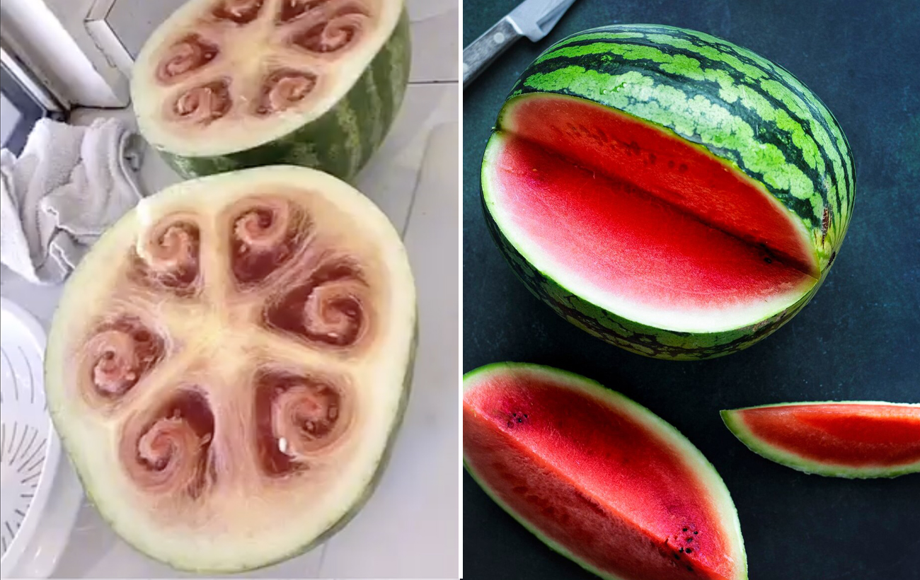 Окультурення значно їх змінило: як раніше виглядали популярні овочі й фрукти (відео)